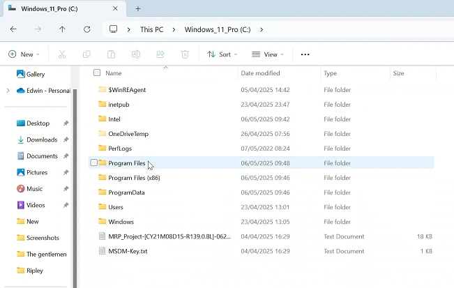 Program Files In Windows