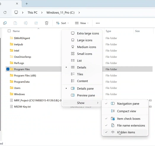 How To Show Hidden Files In Windows