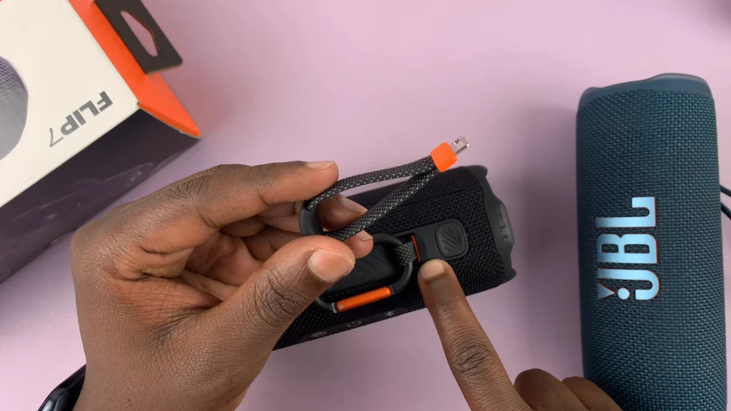 JBL Flip 7 Carry Strap