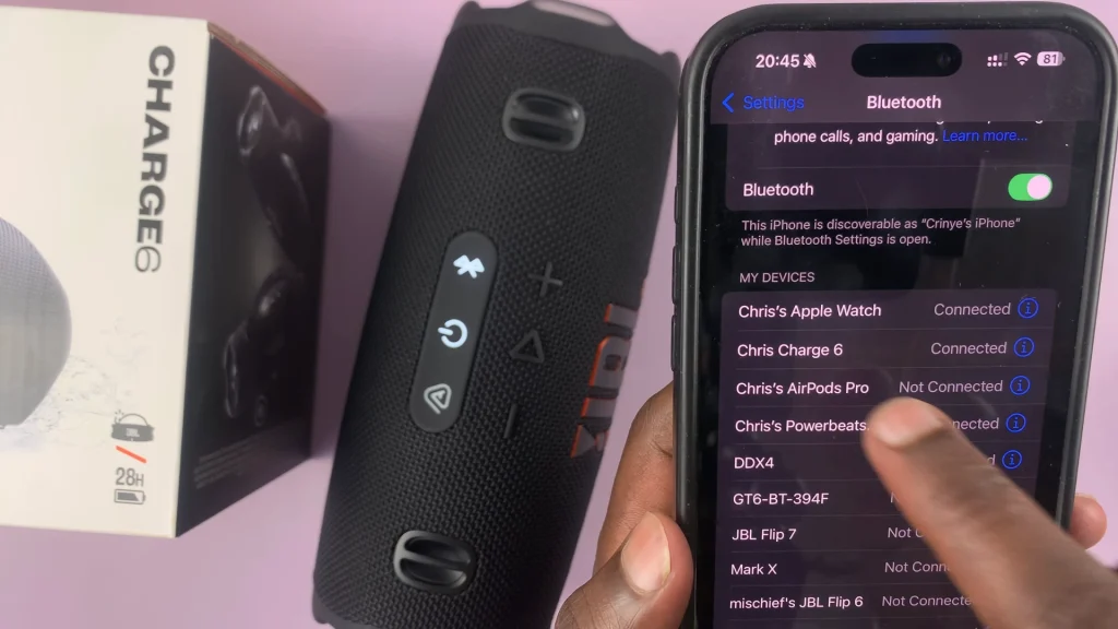 Pair Renamed JBL Charge 6