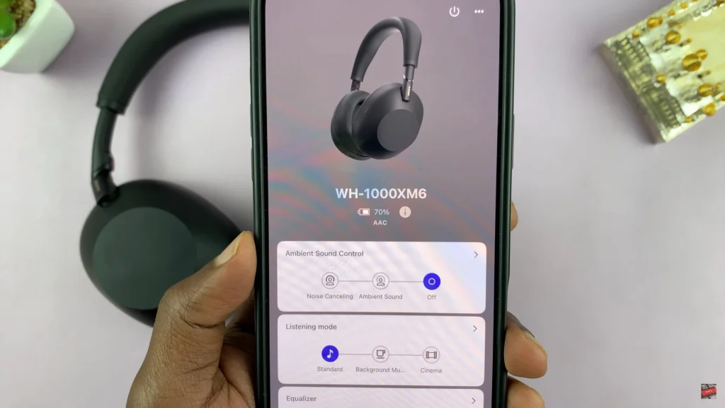How To Check Battery Level On Sony WH-1000XM6