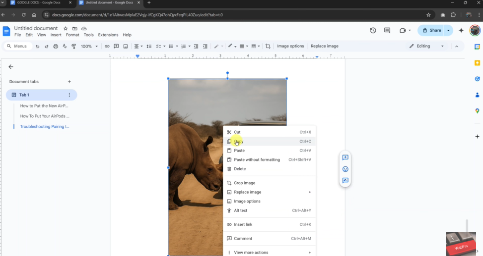 Flip an Image That's Already In Google Docs