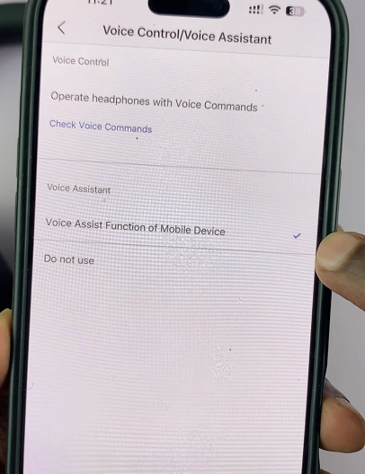 Enable Voice Assist Function Of Mobile Device