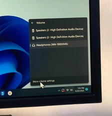 Microphone Not Working On Windows PC/Laptop