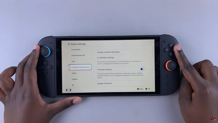 How To Return Sticks To Default On Nintendo Switch 2