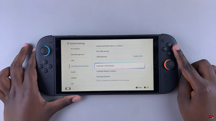 How To Return Sticks To Default On Nintendo Switch 2